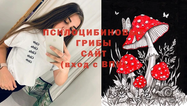 каннабис Инта