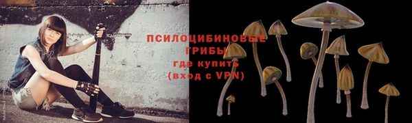 каннабис Инта