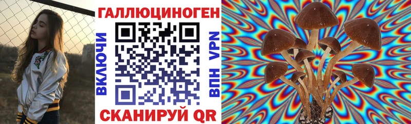 Купить закладки  Светлый  Галлюциногенные грибы MAGIC MUSHROOMS 